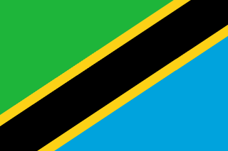Tanzania Flag