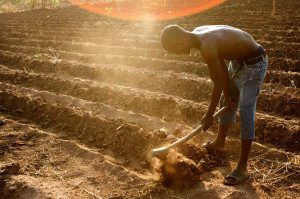 A farmer preps his field for seeding outside Lilongwe, Malawi. Photo courtesy Stephen Morrison/Department of Foreign Affairs and Trade (Australia)/Flickr
