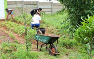 Students working in a community vegetable garden