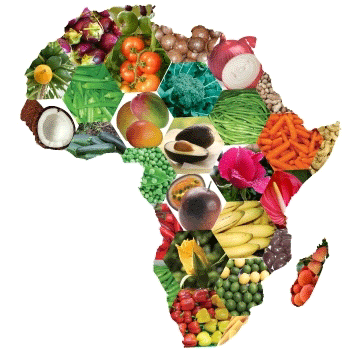 Africa's top 10 food secure countries