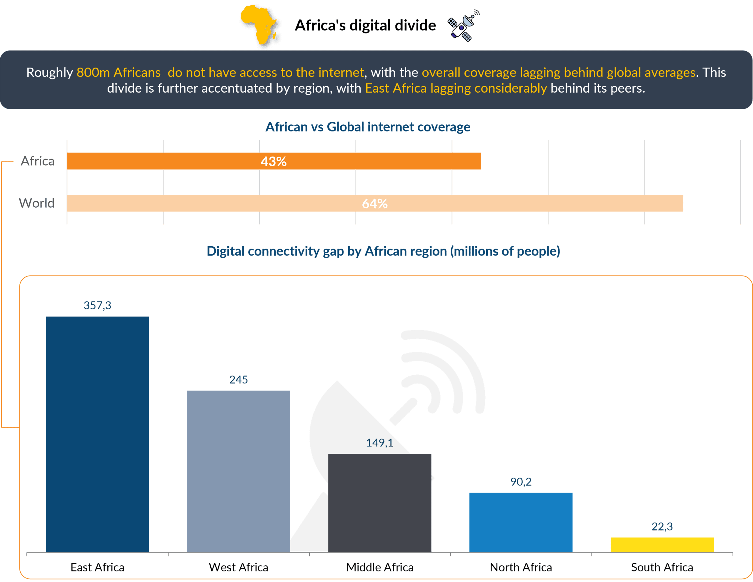 Africa's digital divide